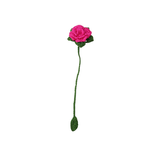 Floréal Rose